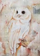 Andrew Ferneyhough